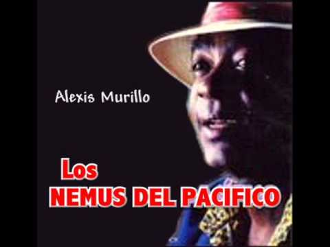 "Todo tiene su final" - Nemus del Pacífico - son montuno