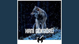 Cover art for Hani Gökbörü