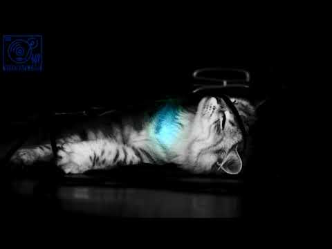 [Musikery]  Peaceburgh] by [kellee Maize