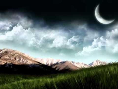 0538 Xamanica - We The People - Buffalo Moon