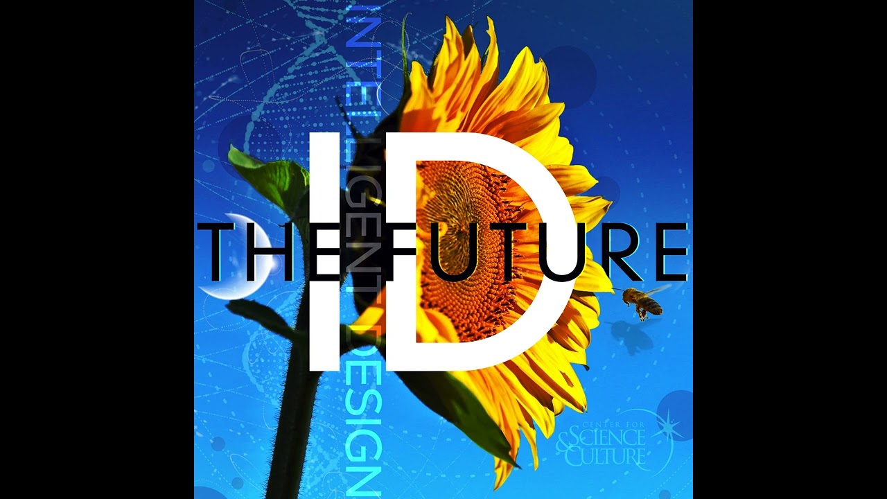 James Tour and Stephen Meyer Bring Clarity to Origin of Life Debate Pt 1