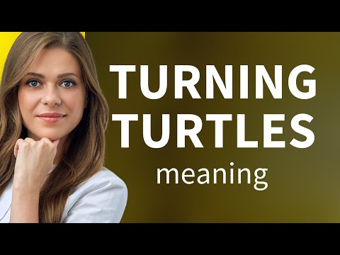 Unraveling the Phrase "Turning Turtles": A Guide to Understanding Idioms