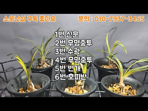 유튜브 썸네일