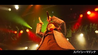BRADIO- -Freedom-/きらめきDancin'/スパイシーマドンナ(OFFICIAL LIVE VIDEO)