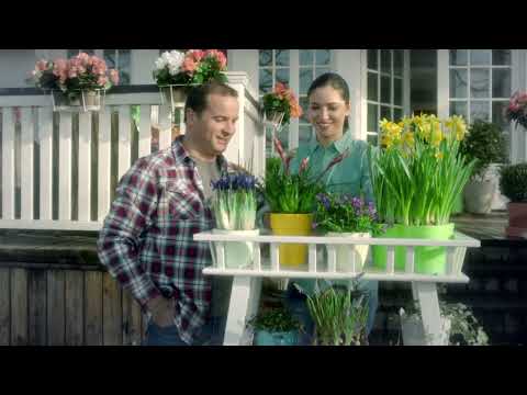 9. Florin Bogardo - Sa nu uităm nicicând să iubim trandafirii 