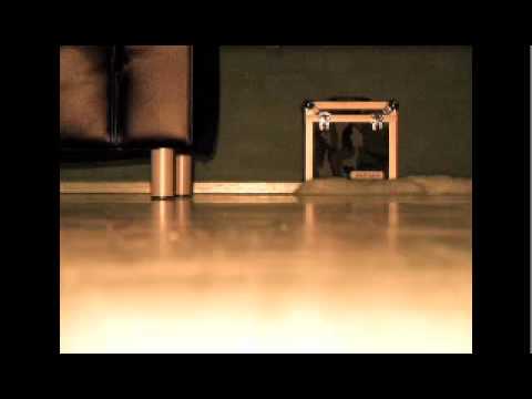 Pryda vs Wahoo - Make Em Shake Reeperbahn (Peter D Bootleg)