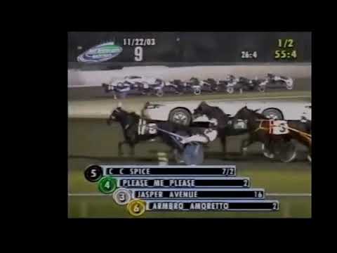 2003 Meadowlands Racetrack - Breeders Crown 3YO Fillies Pace Elimination (ARMBRO AMORETTO)