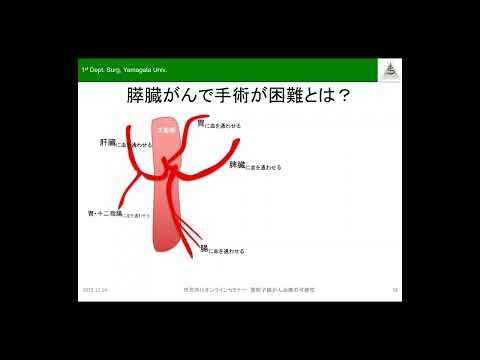 令和５年１２⽉１４⽇（木）山形大学医学部東日本重粒子センターオンラインセミナー【第２部：膵臓がんへの重粒子線治療の適応・実績と奏効例に対するコンバージョン手術】