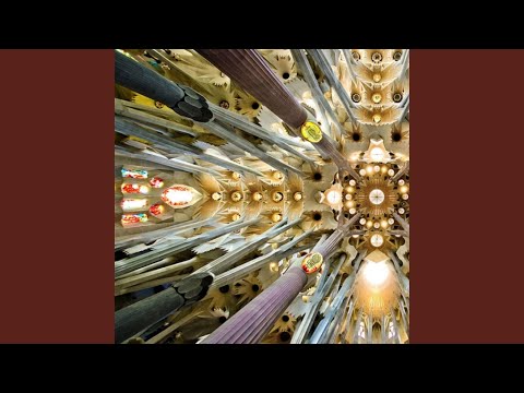 Offertorium. Immittet Angelus Domini (feat. Mulier Cantat in Ecclesia)