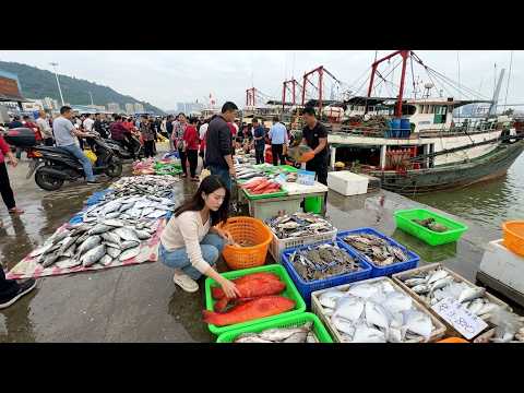 當地人帶路 隱藏版海鮮大揭秘 廣東 珠海 洪灣中心漁港碼頭 白藤頭水產批發市場 最新鮮的瀨尿蝦 蘭花蟹 扳機魚 2元一斤的雜魚 Seafood Market StreetFood Citywalk