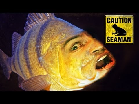 Seaman Dreamcast