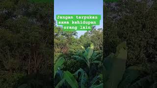 Download lagu Don't be fascinated by other people's lives. mp3