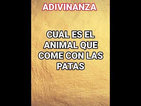 Cuál es el animal que come con las patas. Adivinanza