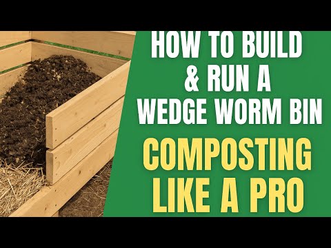 How to Build & Run Wedge Worm Bin: Easy Composting for Beginners