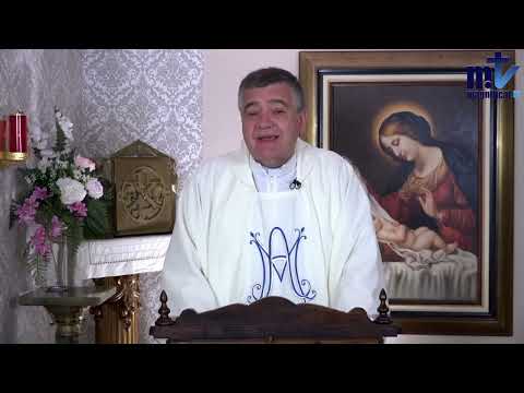 Homilía. Padre Santiago. Agosto 15 2022. Solemnidad de la Asunción de la Virgen María.