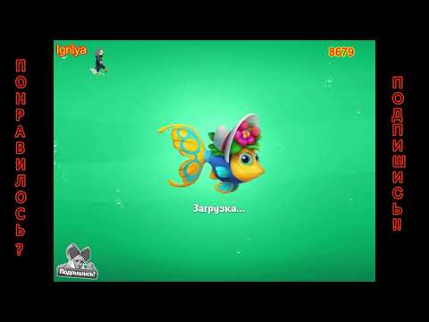 Fishdom level 8676, 8677, 8678, 8679, 8680 / Фишдом уровень 8676, 8677, 8678, 8679, 8680