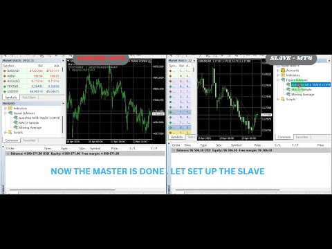 Video AutoPilot MT4 Trade Copier