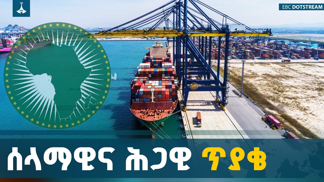 የተቀናጀ የባህር ስትራቴጂና የሰማያዊ ኢኮኖሚ ማዕቀፍ | Port Access | Blue Economy | Ethiopia Diplomacy 