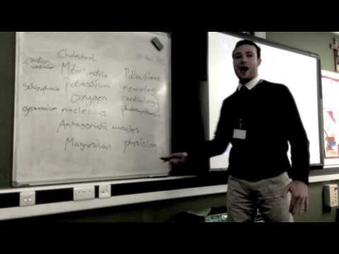 Christian Foley - Science of Freestyle (Year 8 Class)