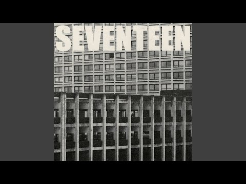 Seventeen Going Under