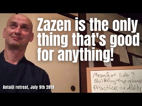 "Zazen is the only thing that is good for anything!" - Antaiji retreat, July 9th 2019