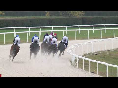 2022.10.30. 02. futam - KEDVESI JÓZSEF EMLÉKVERSENY HENDIKEP (IV.o.) (szintetikus pálya)