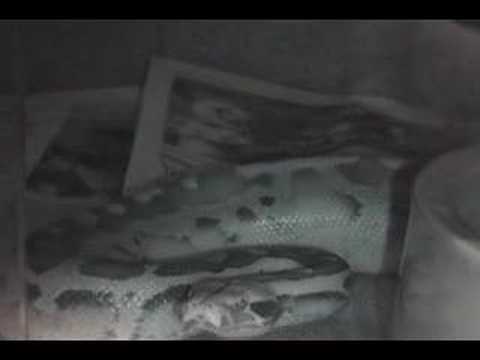 YouTube Video g9PBFcpq-0I