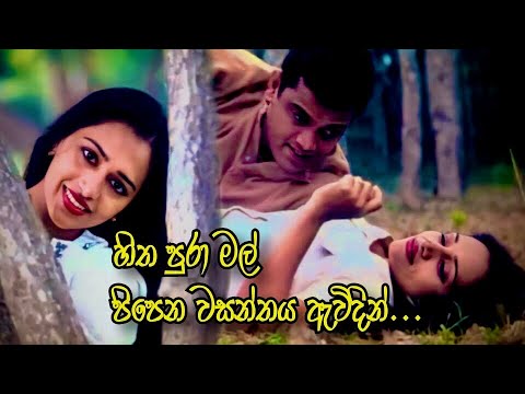 Hitha Pura Mal Pipena Wasanthaya Ewidin - Le Kiri Kandulu Movie | Nilmini | Buddhika