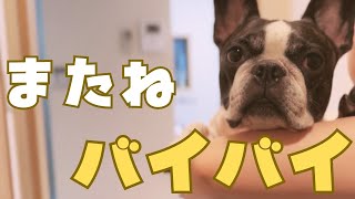 パパとうとう実家に帰ります