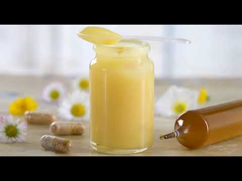 Boja meda ep. 1 14.03.2018. - Pčelarstvo kroz istoriju i mala škola pčelarstva