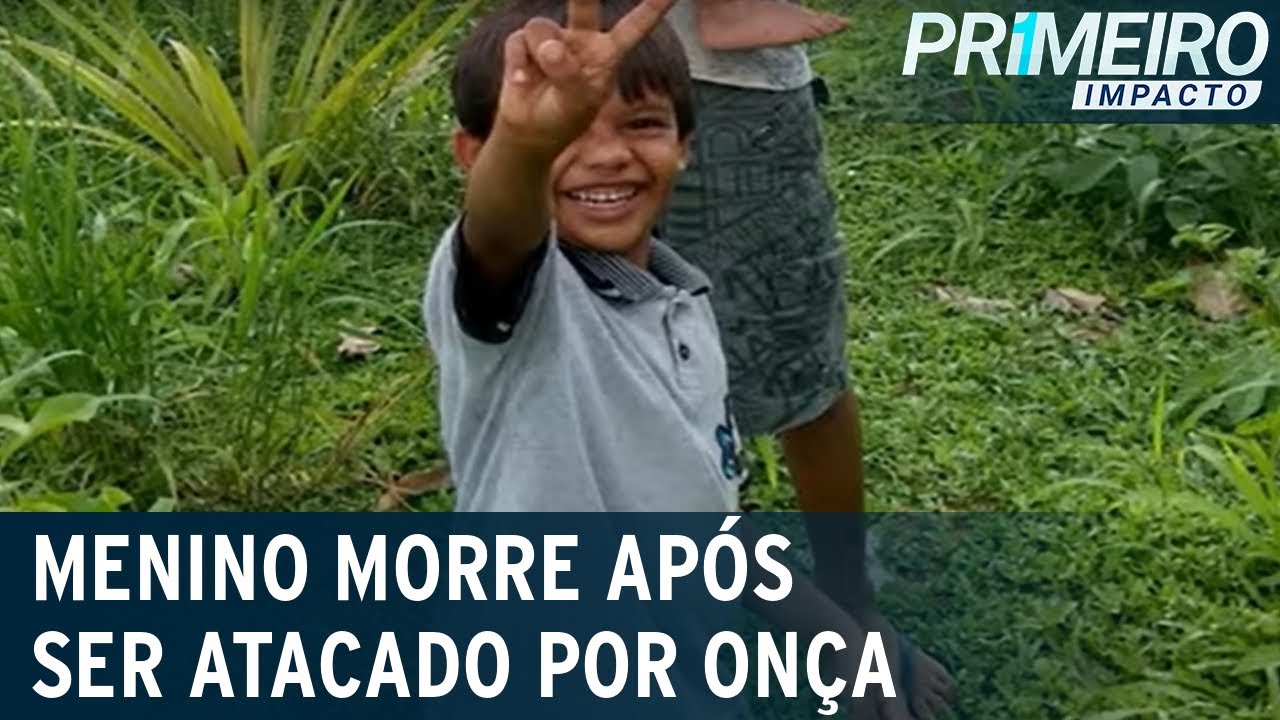 Criança morre após sofrer ataque de onça-pintada no Pará | Primeiro Impacto (29/07/22)