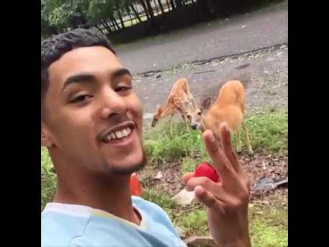 Money the DEER (everybody eats)