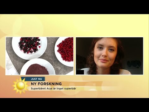 Superbär kan göra dig tjock - Nyhetsmorgon (TV4)