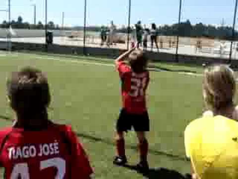 Pintarolas em Paços de Brandão