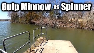 Gulp Minnow vs Inline Spinner - Early Spring Bank Fishing From Dock