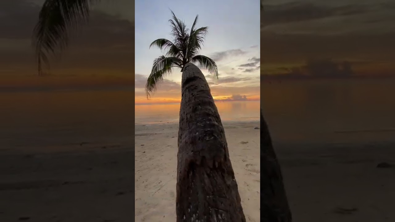 YouTube Short thumbnail