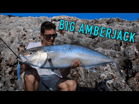 *Una Grossa Ricciola a Shore Jigging* / *Shore Jigging Big Amberjack*
