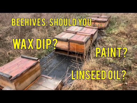 Beehives: Wax Dip, Paint, Linseed Oil?