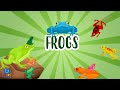 FROGS | Educational Videos for Kids