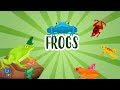 FROGS Educational Videos For Kids