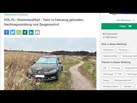 DIE SYLTWOCHE - 19.03.2023 - KW 12