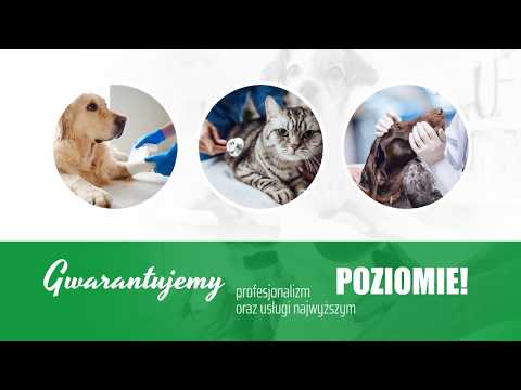 Zobacz filmy, Przychodnia Weterynaryjna "ABACUS" Małgorzata Wasilewska-Golba, Sosnowiec
