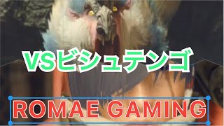 【モンスターハンターライズ】ビシュテンゴさん動きがわからん…狩猟笛縛り#12