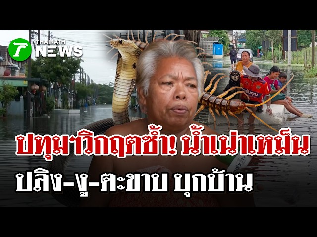 น้ำลดแต่เน่า! ยายแฉน้ำขังส่งกลิ่นเหม็น ปลิง-งูบุกบ้าน ไม่ได้ถุงยังชีพ | 6 ต.ค. 69 | ไทยรัฐนิวส์โชว์