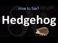 How to Pronounce Hedgehog? (CORRECTLY)