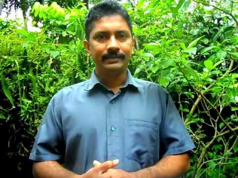 Buddhist Meditation-Purification