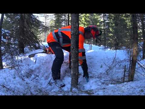 Mistä tunnistaa ammattimiehen?