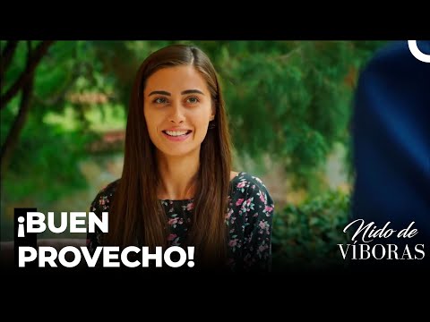 Elvan Prepara Desayuno A Kudret - Nido De Víboras Capitulo 28 (Dobladas en Español)