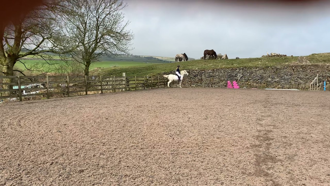 Isabel slater and spongeBob test 1 juniors • beaver hall virtual dressage 21 March