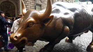 Exploring New York City!